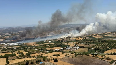 Altıeylül Pamukçu'da arazi yangını çıktı