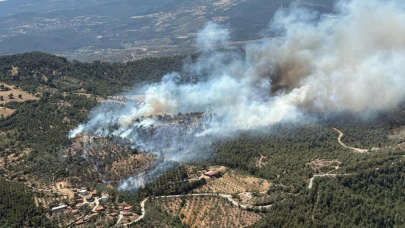 Havran'da orman yangını