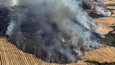 Balıkesir'de bir günde 11 noktada yangın çıktı