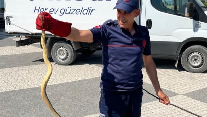 Balıkesir Gönen'de araçtan yılan çıktı!