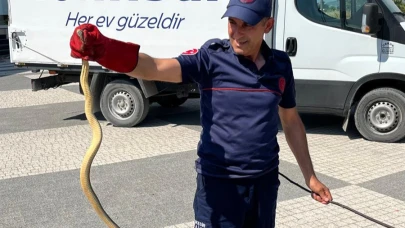 Balıkesir Gönen'de araçtan yılan çıktı!