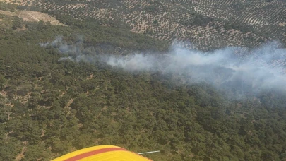 Burhaniye’de orman yangını çıktı