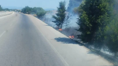 Bandırma’da itfaiyeden büyümeden erken müdahale..