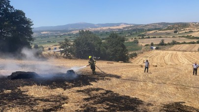 Susurluk'ta arazi ve makilik alanda yangın