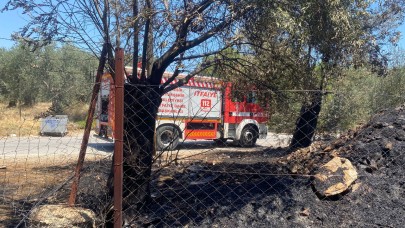 Yol kenarındaki molozlar zeytinlik yaktı