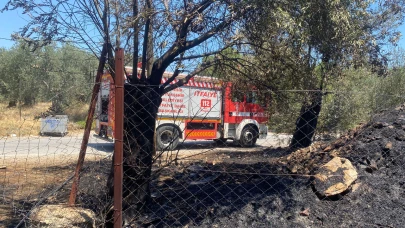 Yol kenarındaki molozlar zeytinlik yaktı