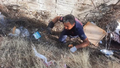 Karesi’de Kedi Çalılıkların Arasında Mahsur Kaldı
