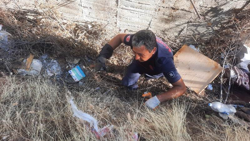 Karesi’de Kedi Çalılıkların Arasında Mahsur Kaldı
