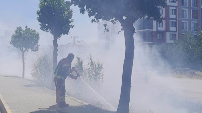 Balıkesir'de ormanlar ayrı, yol kenarları ayrı yanıyor