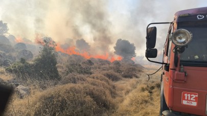 Ayvalık’ta 4 ayrı yerde çıkan yangın büyümeden söndürüldü