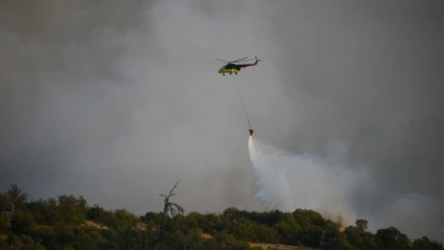 Vali Ustaoğlu, Dursunbey'de