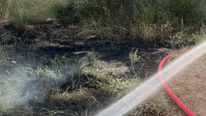 Ayvalık'ta arazi yangını