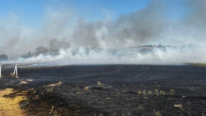 Karesi'de arazi yangını korkuttu