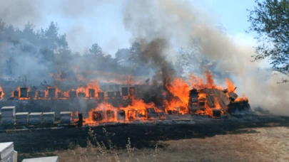 Dursunbey’de arazi yangını: Arı kovanları zarar gördü