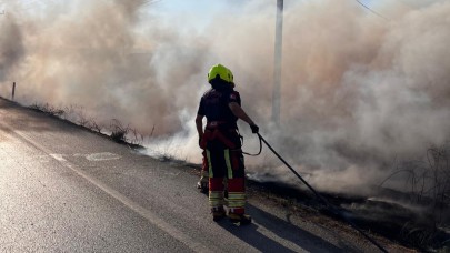 Burhaniye'de yol kenarında yangın