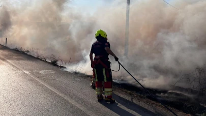 Burhaniye'de yol kenarında yangın