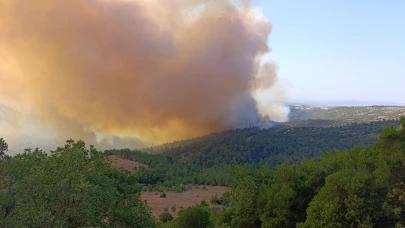 Altıeylül'de yangın: Müdahale sürüyor