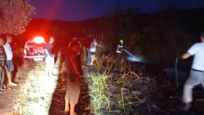 Erdek’te böğürtlenlik yandı