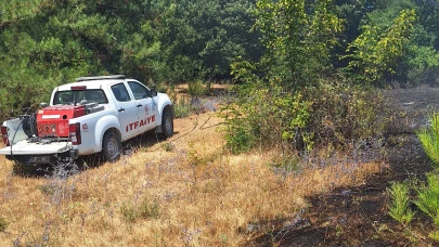 Balya'da arazi yangını