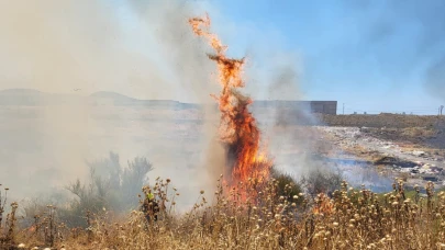 Burhaniye'de korkutan yangın