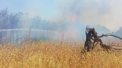 Karesi'de korkutan ot yangını