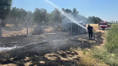 Ayvalık'ta korkutan kıyı yangını