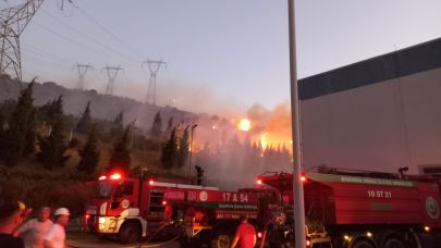 Balıkesir Bandırma'da çıkan arazi yangını kontrol altına alındı