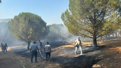 Balya’da ormanlık alanda yangın: Büyümeden söndürüldü