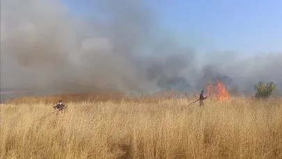 Balıkesir Susurluk'ta mera yangını