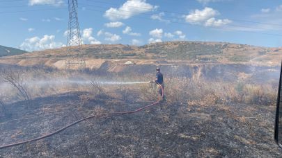 Bandırma'da arazi yangını