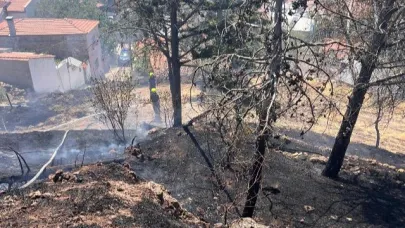 Burhaniye Pelitköy’de ormanlık alanda yangın çıktı