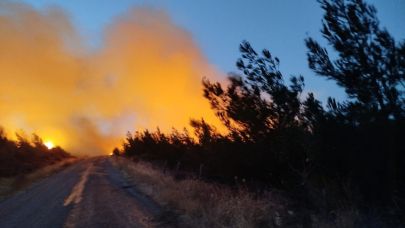 Balıkesir İtfaiyesi Çanakkale'de alevlere karşı mücadele ediyor