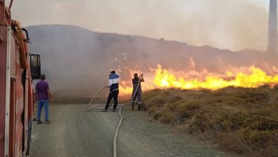 Paşalimanı Adası'nda otluk ve makilik alanda yangın