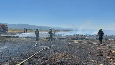 Burhaniye'de anız yangını: 165 adet arı kovanı zarar gördü