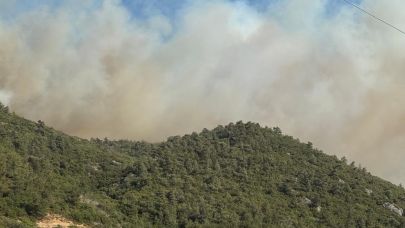 Soma-Kınık kırsalında arazi yangını