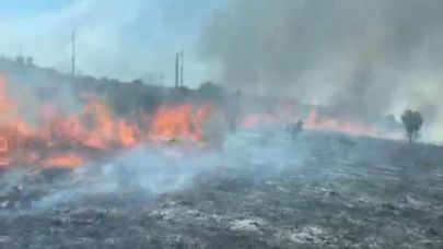 Bandırma'da arazi yangını