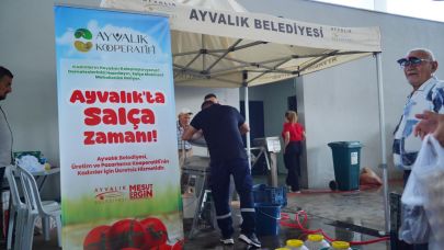 Ayvalık’ta salça zamanı başladı