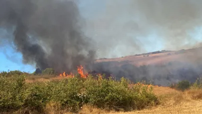 Manyas'ta korkutan yangın