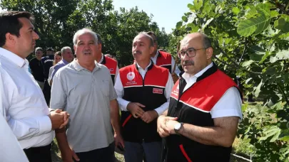Havran Siyah İnciri’nde hasat sevinci başladı