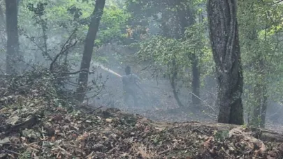 Susurluk’ta arazi yangını ormana sıçradı