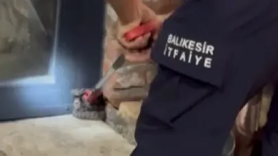 Edremit’te hobi bahçesinde yılan paniği