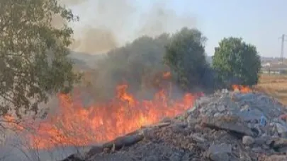 Balıkesir'de arazi yangını anında müdahale ile söndürüldü