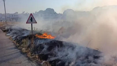 Burhaniye'de yol kıyısındaki yangın