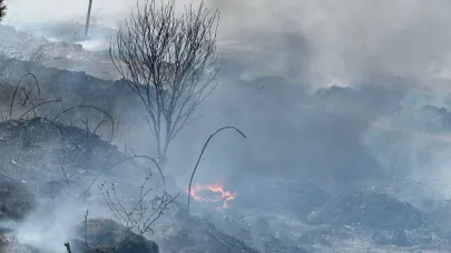 Bandırma-Susurluk Karayolu’nda Yine Dikkatsizlik, Yine Yangın!