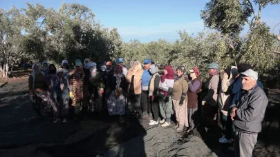 Zeytin Hasadı Dua ve Hayır Yemekleriyle Başladı