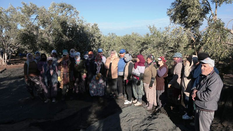 Zeytin Hasadı Dua ve Hayır Yemekleriyle Başladı