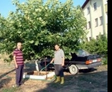 GÖNÜLLÜ ÇEVRECİ TAKDİR TOPLUYOR
