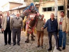 BURHANİYE’DE GÜREŞ DEVELERİ HAVUT GİYDİ