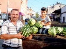 BURHANİYE'DE GÜZ KARPUZU KAZANDIRDI