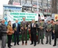 EDREMİT ORMAN MÜDÜRLÜĞÜ HALKA ÜCRETSİZ FISTIK ÇAMI DAĞITI
